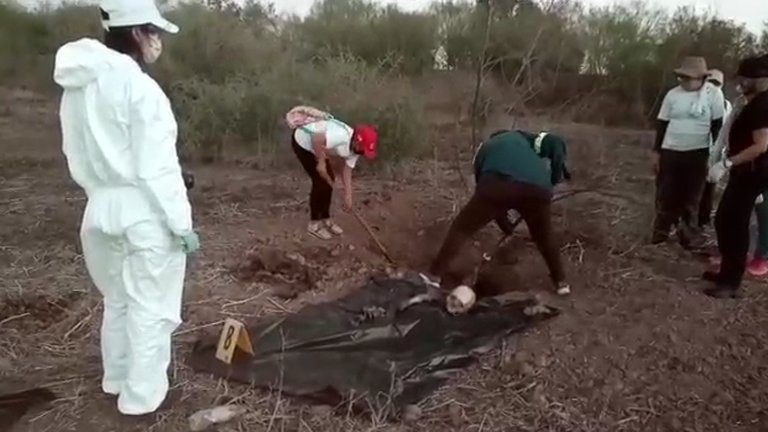 Hallan al menos ocho cuerpos en fosas clandestinas de Guasave, Sinaloa