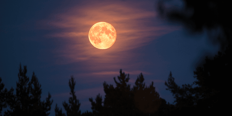 Cómo ver el Eclipse de Luna este lunes 30 de noviembre