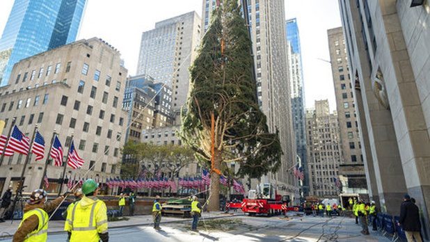 La Navidad llega al Rockefeller Center de Nueva York #IMÁGENES