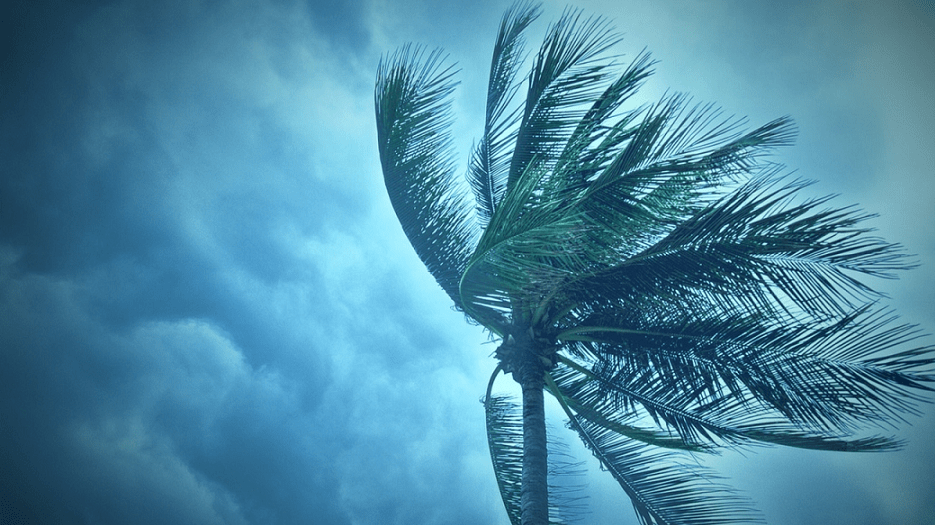 "Odalys" la nueva tormenta tropical que se forma en Baja California Sur