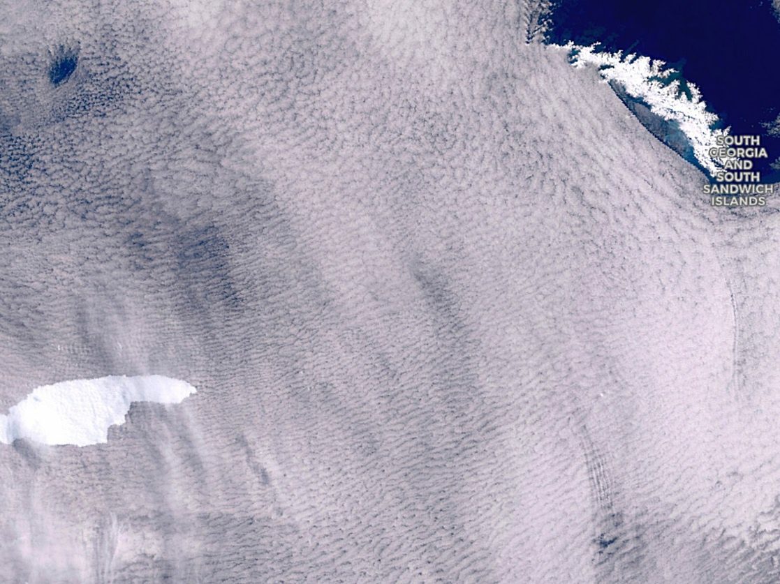 Iceberg de 4 mil kilómetros cuadrados, amenaza isla de Georgia del Sur