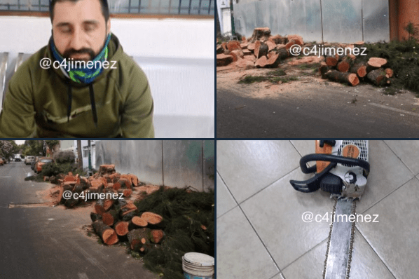 Por talar árboles sin permiso en Nativitas, termina detenido en la FGJ
