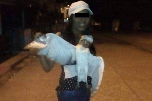 Comando asesina a mujer que decapitó en vivo a lechuza en redes sociales
