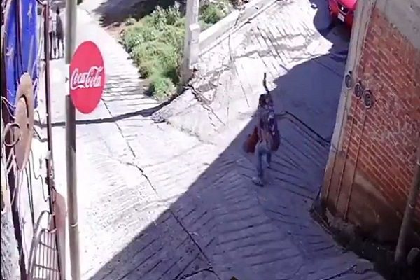 Indigna sujeto que rompió botella de vidrio en cabeza de perrito #VIDEO