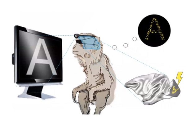 Desarrollan implante que podría ofrecer alternativa a la ceguera