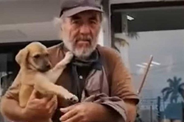 Denuncian robo de perrita a hombre en situación de calle, en Culiacán #VIDEO