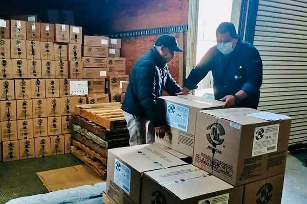 Coahuila ya recibió el primer material para aplicar la vacuna contra Covid-19