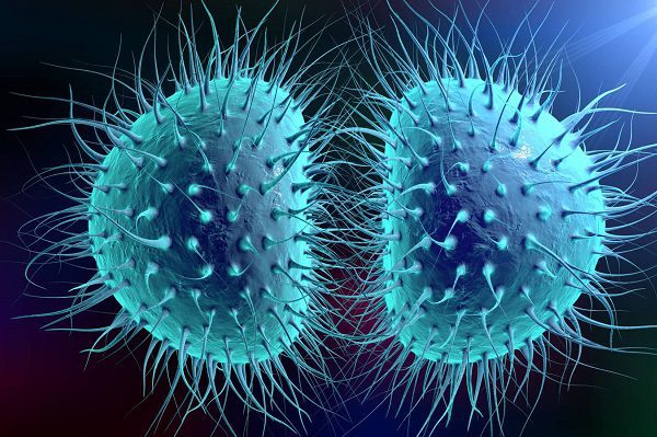 OMS alerta aumento en casos de "super gonorrea"