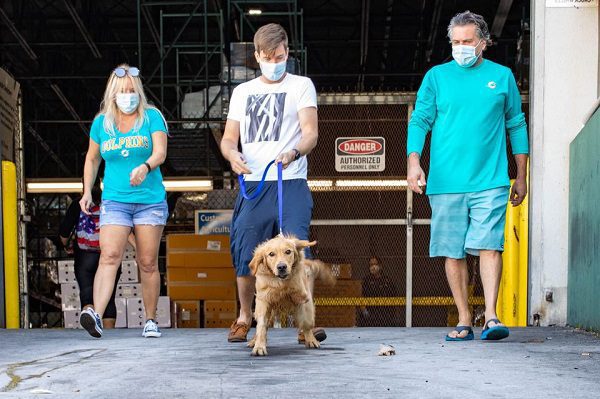 Rescatan a 20 perros cuya carne iba a ser comercializada en China