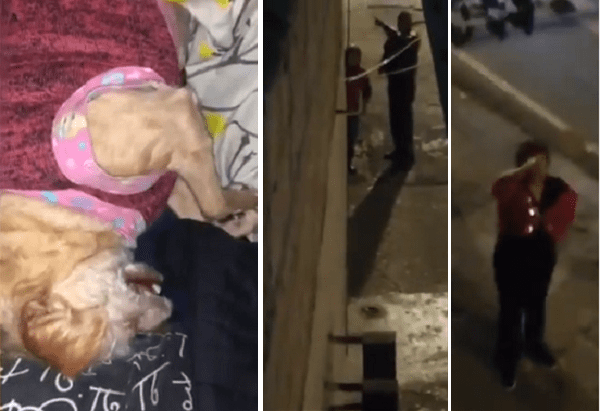 Perrita queda en estado de shock por constantes tronidos de cuetes #VIDEO