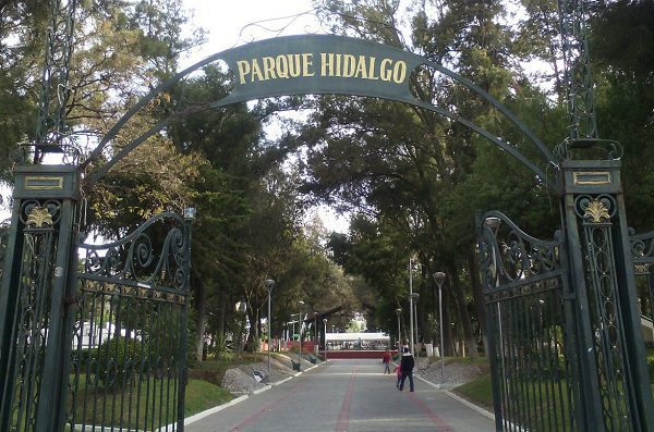 Francisquito, el niño del árbol que sale durante la luna llena en Pachuca