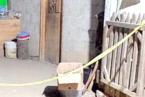 Asesinan a familia completa en Veracruz, presumen "venganza familiar"