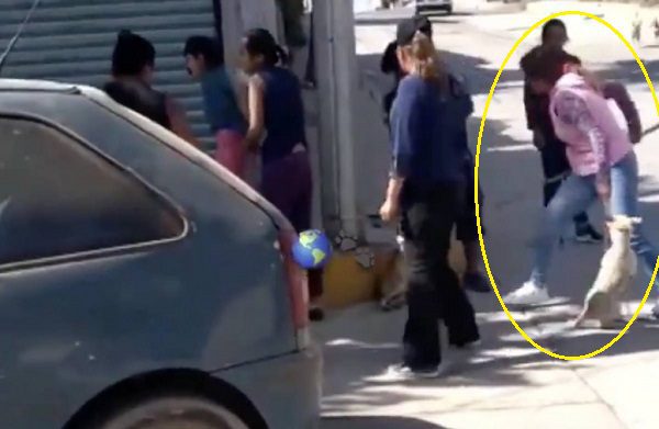 Mujeres golpean a un perro hasta sacarle un ojo y matarlo #VIDEO