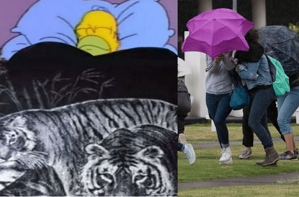 ¡Saca la cobija de tigre! 2020 terminará con fuertes vientos y bajas temperaturas