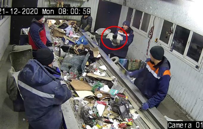 Gatito se salva de morir triturado, gracias a trabajador de basura #VIDEO