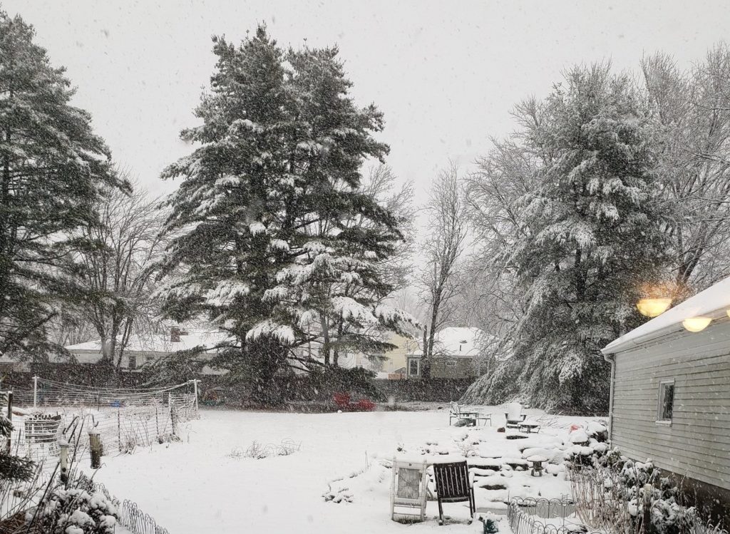 Noreste de EEUU es azotado por la primera gran tormenta invernal