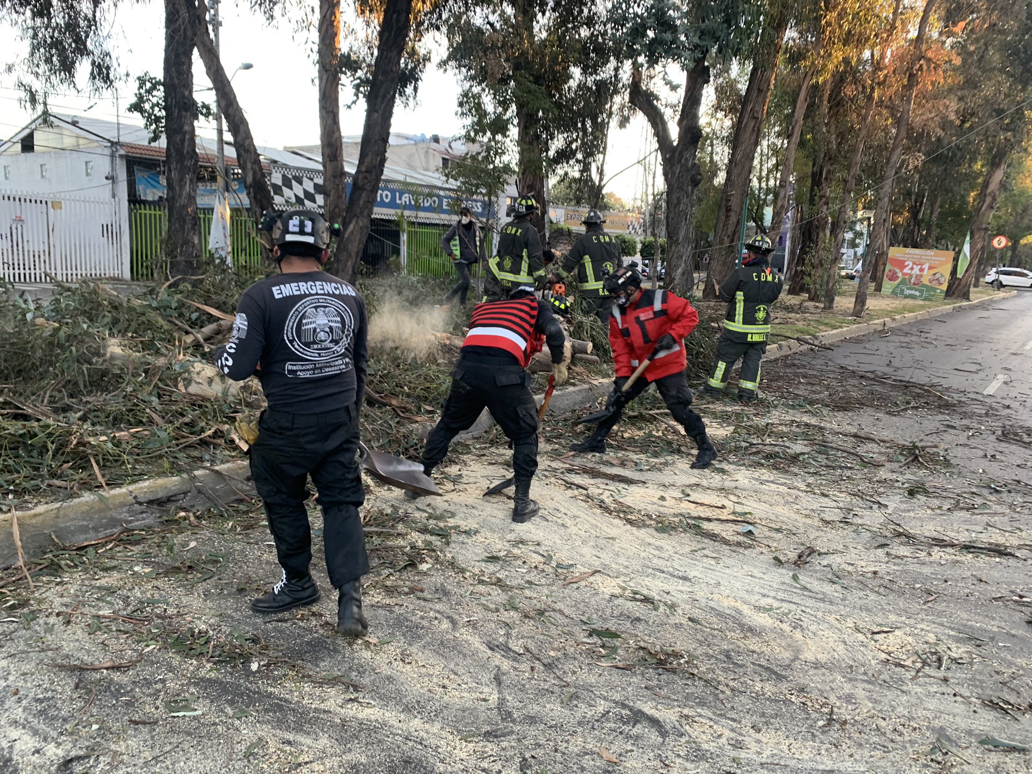 Protección Civil reporta saldo blanco tras ráfagas de viento en la CDMX