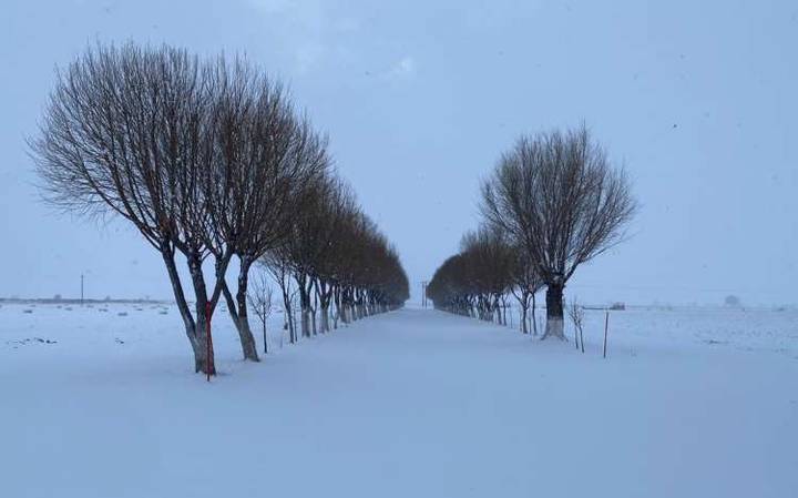 Caída de nieve en Chihuahua deja impresionantes postales navideñas #VIDEO