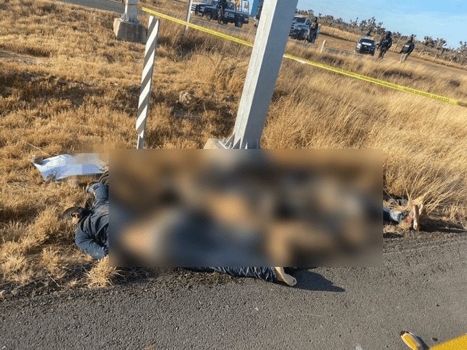 Varios cuerpos sin vida son localizados en los límites de Zacatecas y SLP