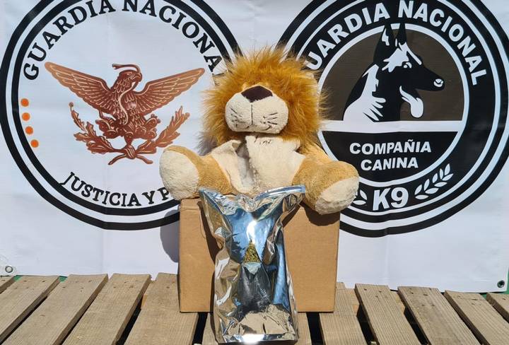 Guardia Nacional halla león de peluche relleno de marihuana