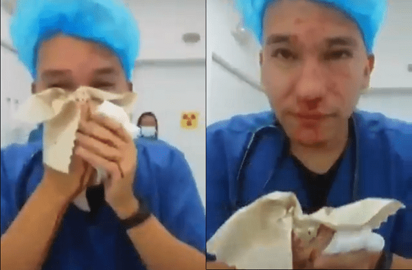 Sujetos violan el toque de queda, se emborrachan y le rompen la nariz a médico #VIDEO