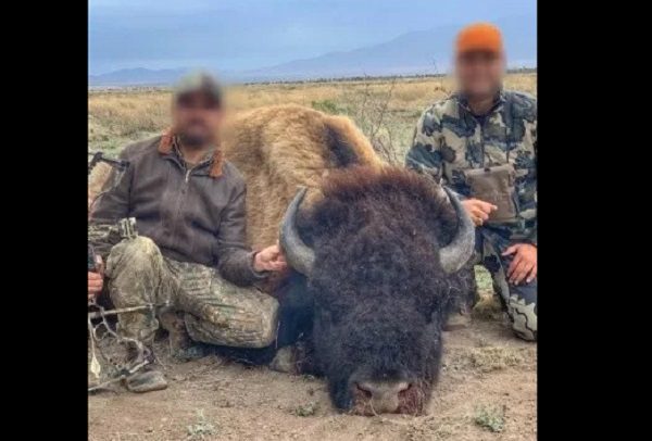 Coahuila denuncia ante Profepa presunta caza de bisonte