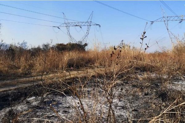 Gobierno de Tamaulipas denuncia a CFE ante FGJ por uso de documentos apócrifos