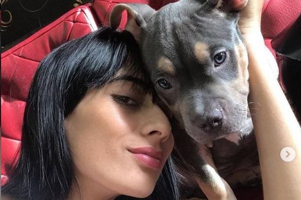 Piden justicia para Homero, perrito que murió por viajar en bodega de avión