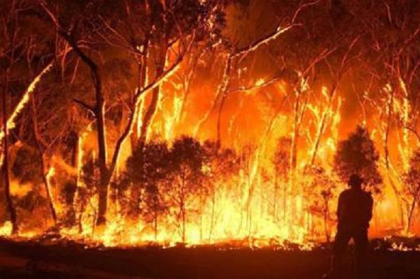 Incendios forestales en Australia causan evacuaciones