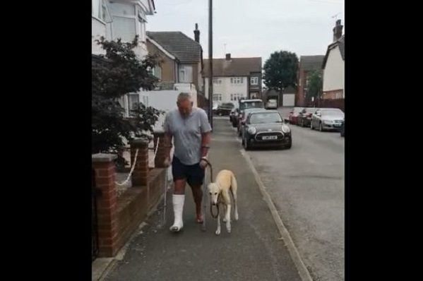 Por empatía, perrito comienza a imitar a su amo con una pierna rota #VIDEO