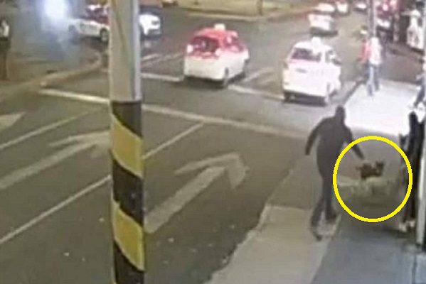 Sujeto mata a tiros a perrita en calles de Azcapotzalco #VIDEO