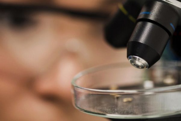 Reino Unido ofrece su ayuda para identificar nuevas variantes de Covid-19