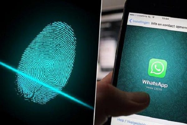 Ahora WhatsApp solicitará seguridad biométrica para acceder a versión web
