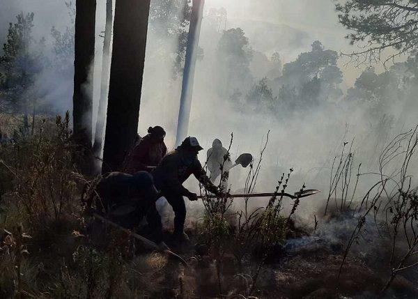 Se logra sofocar incendio en faldas del Iztaccíhuatl
