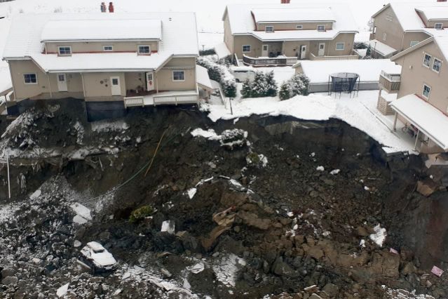 Rescatistas en Noruega encuentran vivo a perro atrapado en alud que arrasó varias casas