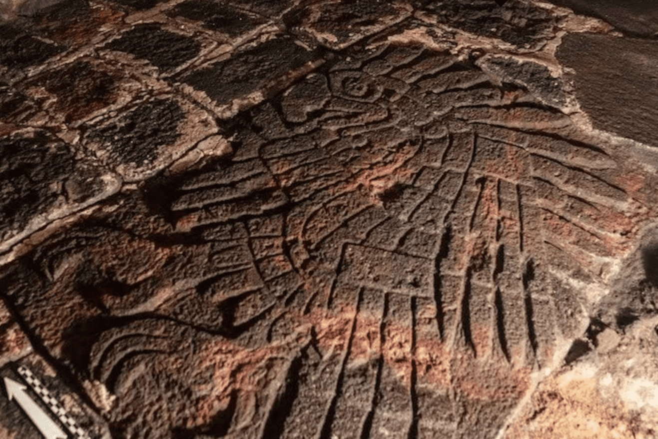 Hallan bajorrelieve de águila real bajo el Templo Mayor