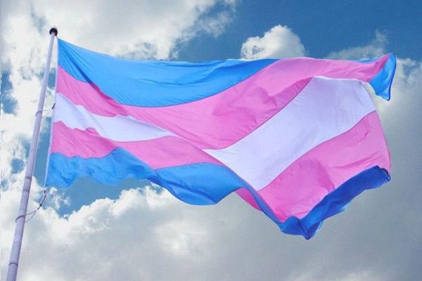 Personas trans, intersexuales y no binarias recibirán apoyo económico