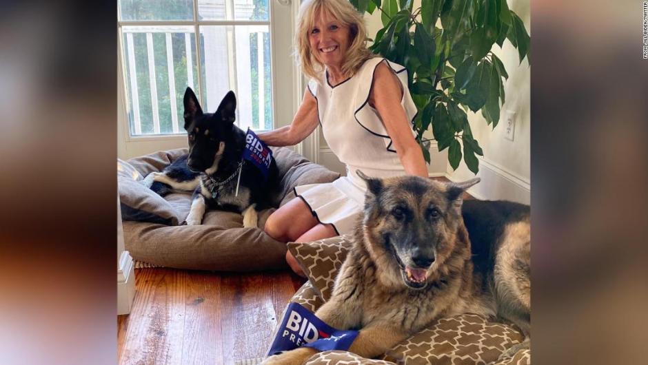 Conoce a Champ y Major, los perros presidenciales que acompañarán a la familia Biden