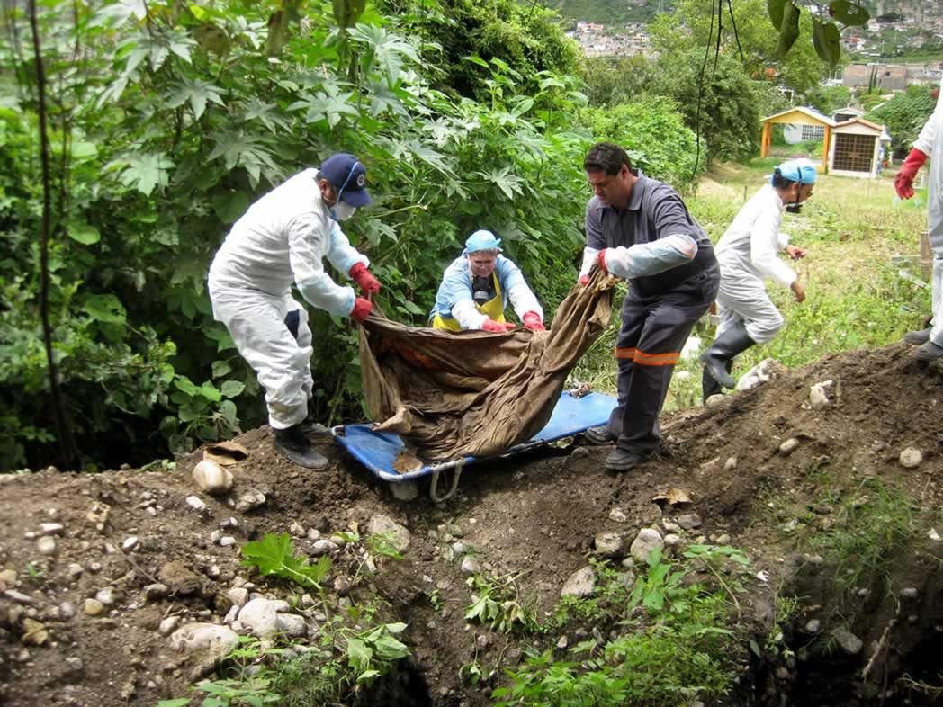 Disminuyen hallazgo de fosas clandestinas y cuerpos en 2020: Segob