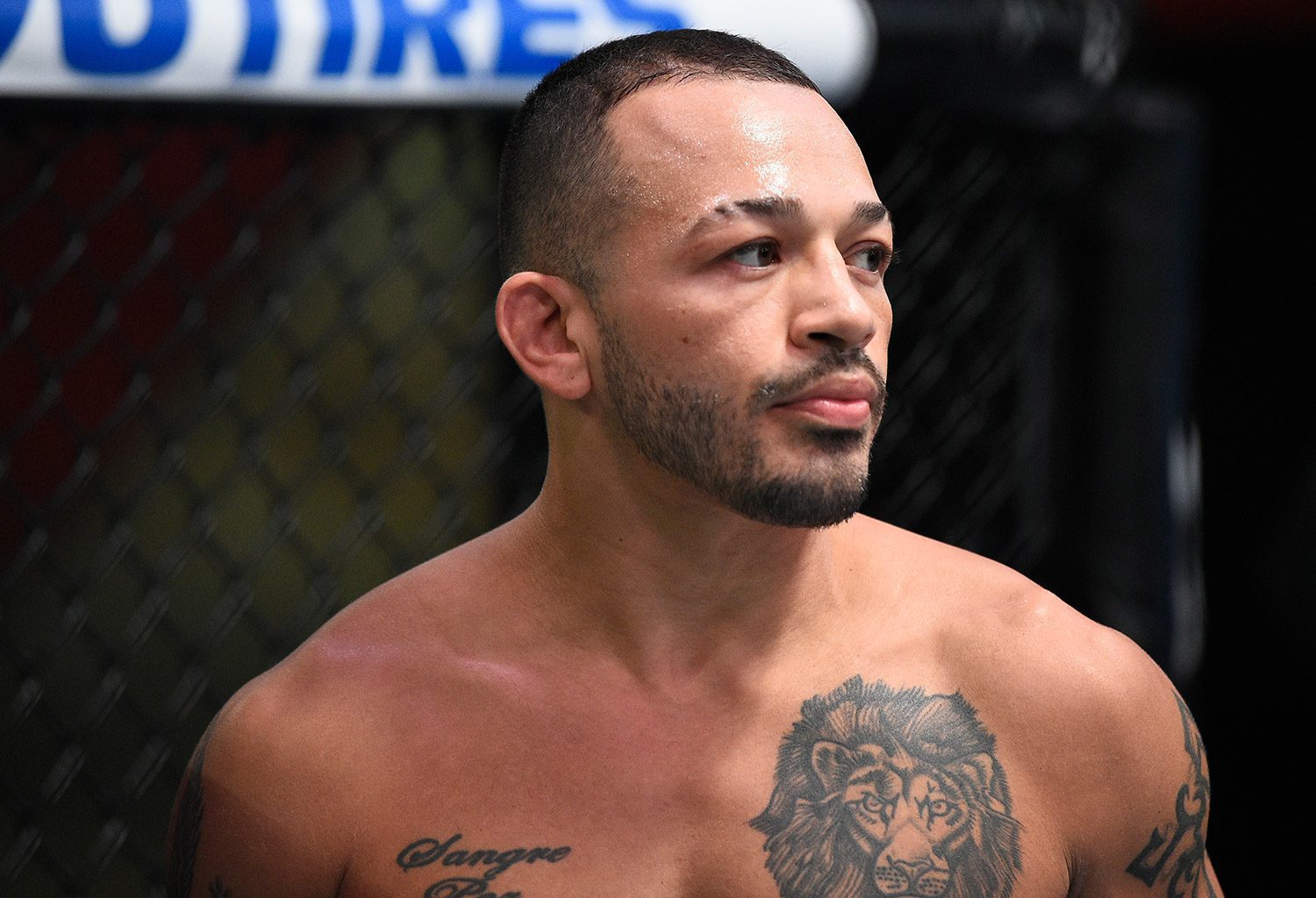 Detienen a luchador mexicano Irwin Rivera, por apuñalar a sus hermanas