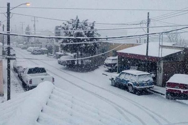 Piden a población de Chihuahua guarecerse ante próxima tormenta invernal