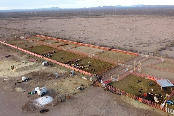 Gobierno de Chihuahua recupera dos ranchos de César Duarte