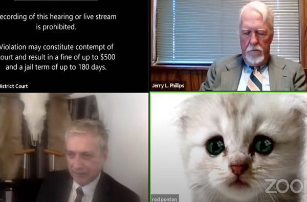 Abogado se convierte en un gatito durante audiencia por Zoom #VIDEO