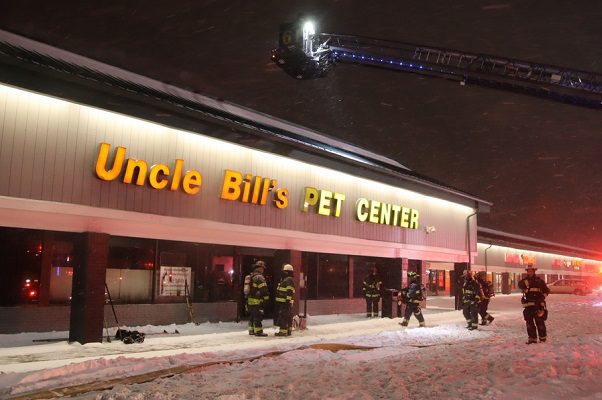 ¡Terrible! 100 animales murieron tras incendio en tienda de mascotas