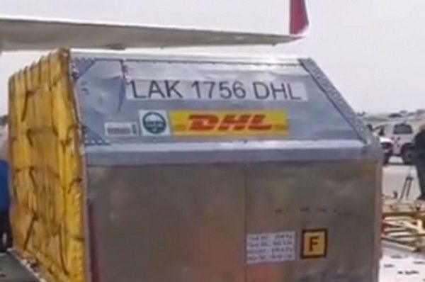 Arriba a CDMX nuevo cargamento de vacunas de Pfizer #VIDEO