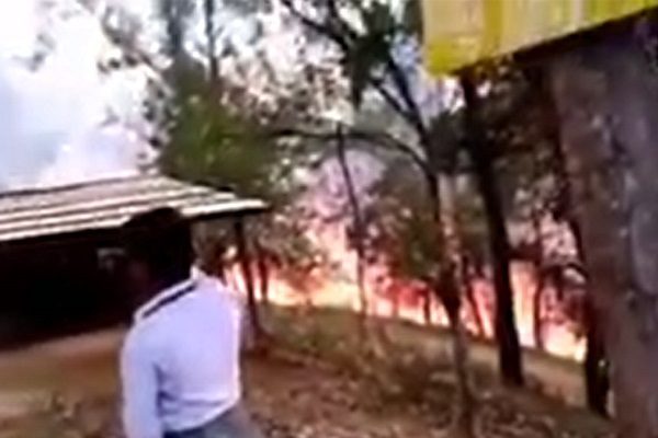 Incendio forestal en Oaxaca arrasó con una decena de casas #VIDEOS