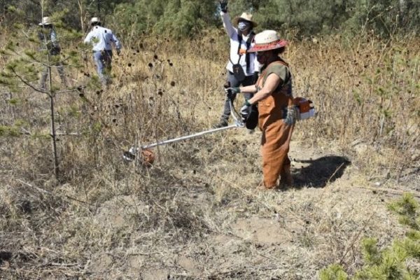 Jornada de limpieza en el Cerro de la Estrella redujo a la mitad incendios forestales