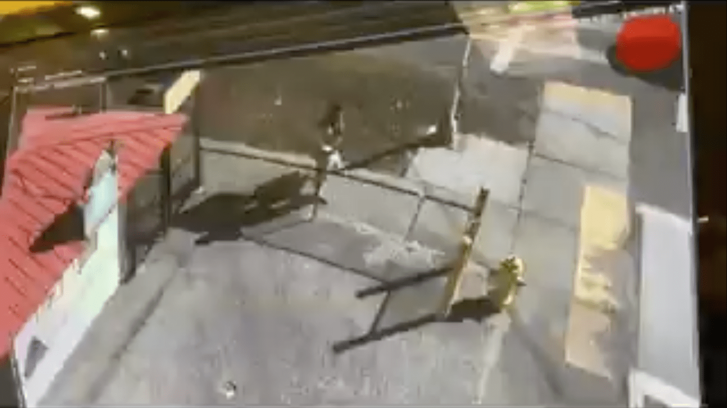 Tras descuido, ladrón aprovecha y roba vacunas contra Covid-19 #VIDEO