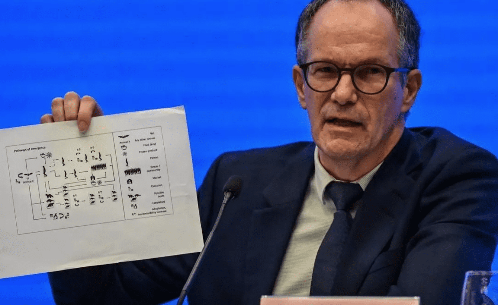 OMS afirma que el animal que transmitió COVID-19 a humanos no ha sido identificado