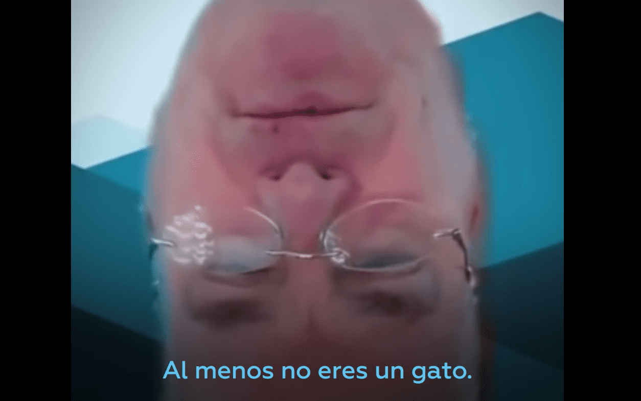 Otra víctima de Zoom, congresista de EUA comparece sin cuerpo y con la cabeza al revés #VIDEO